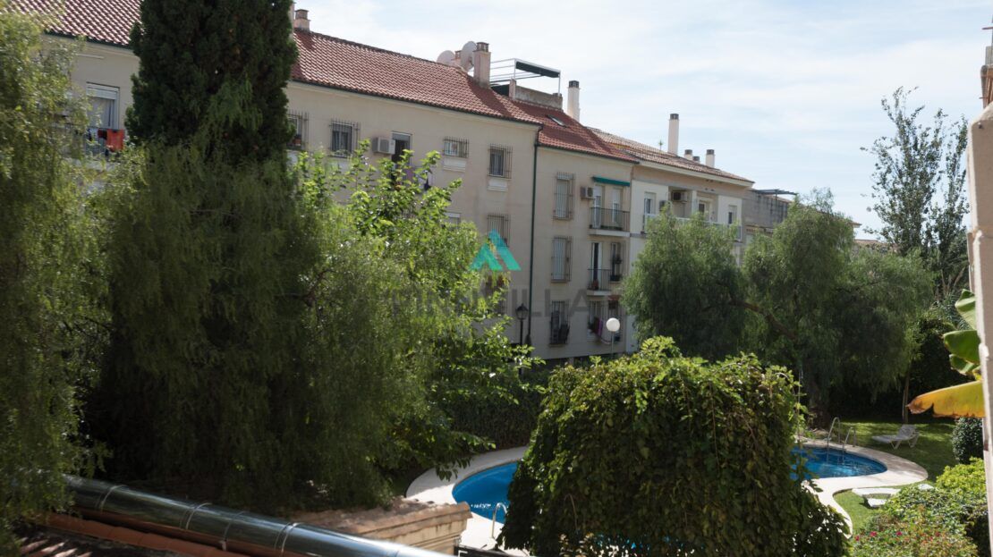 Asunto Fuengirola Pacosissa Acha II
